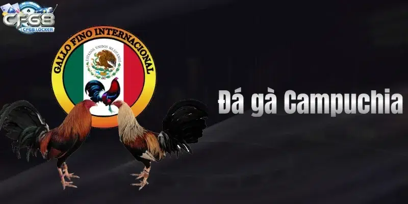 Đá Gà Campuchia – Sân Chơi Sát Phạt Hấp Dẫn Nhất Tại CF68